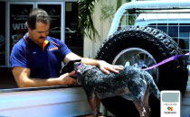 Cairns Hardware Swatches